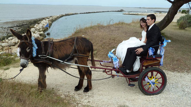 Les traditions du mariage : Le pot de chambre le pot de chambre
