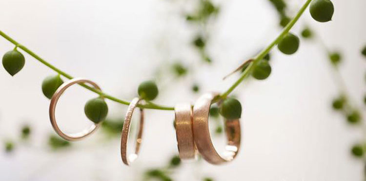 Mariage vert : Les bagues Mariage vert : Les bagues