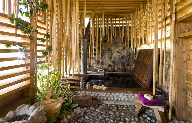 Mariage vert : Le voyage de noces Mariage vert : Le voyage de noces